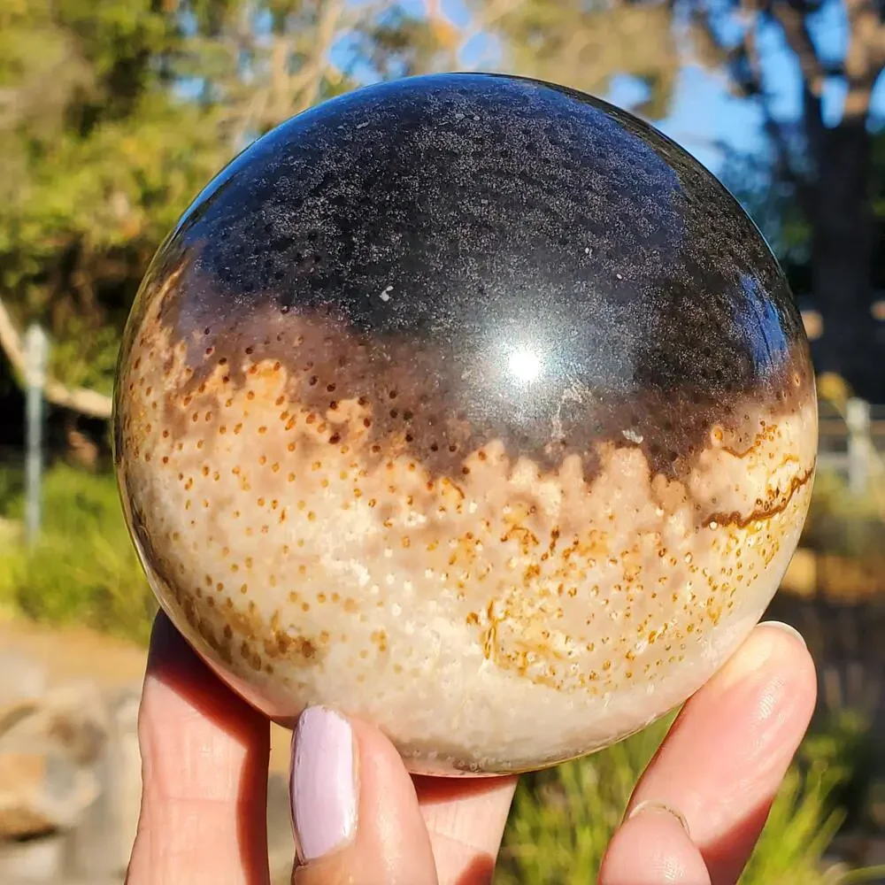 Large Petrified Palm Root Wood Fossil Crystal Sphere Indonesian 714 grams | 82mm